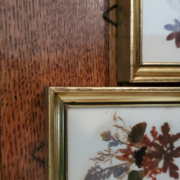 Vintage Floralp Tyrol Austria Pressed Flowers Miniature Framed Pictures Set of 2 - Picture 5 of 10